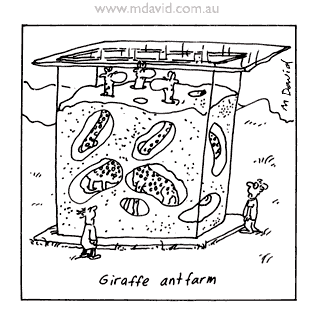 Ant farm cartoon
