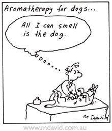 Aromatherapy cartoon