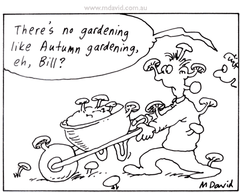 Autumn gardening cartoon