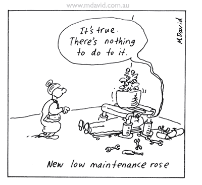 Low-maintenance rose cartoon