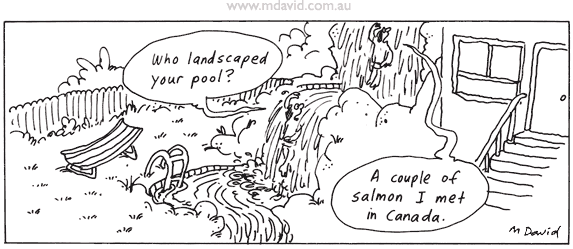 Pool landscaping cartoon