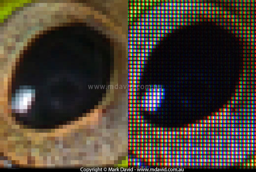 image pixels and screen pixels