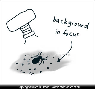 getting the background in focus