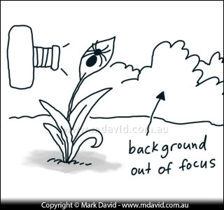 getting the background out of focus