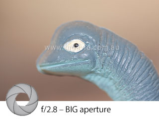 photo taken with a big aperture