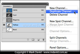 channels