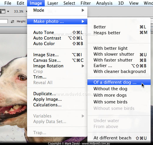 Fake screen grab