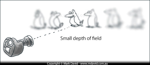 Small depth of field