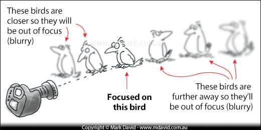 focusing near and far