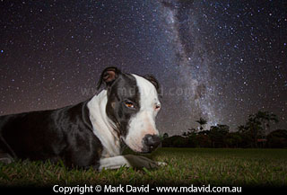 Milky Way