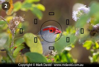 multiple focus points getting it right