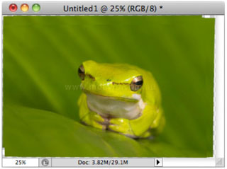 Multi-layered file