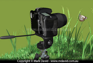 The tripod allows for a longer exposure