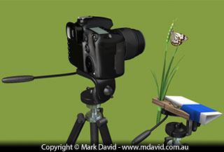 Using two tripods
