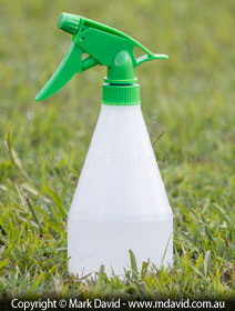 Spray bottle