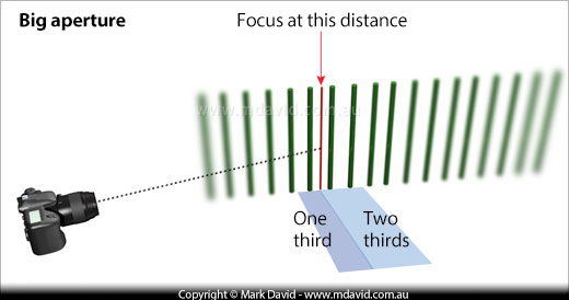 where to focus