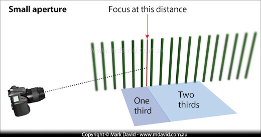 where to focus