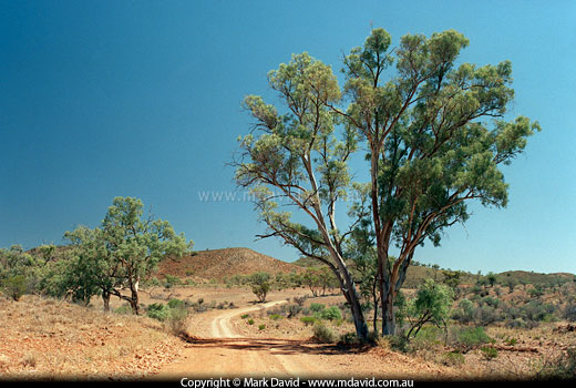 foothills