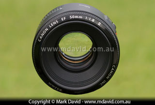 50mm lens opened up to a big aperture