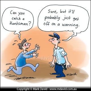 Mark David spider fear cartoon