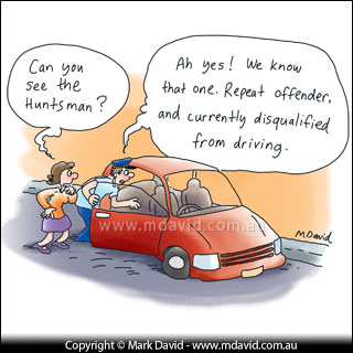 Mark David spider fear cartoon