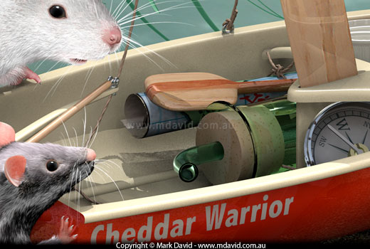 Detail of the rat