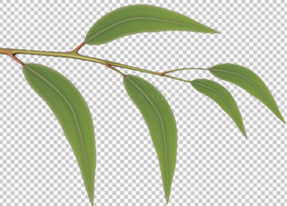 stage 4
