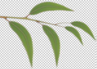 stage 5