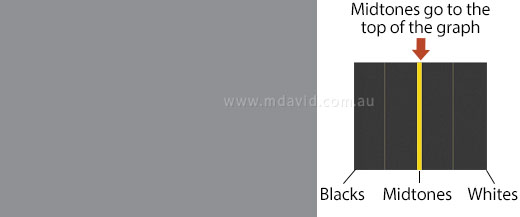 fully grey image