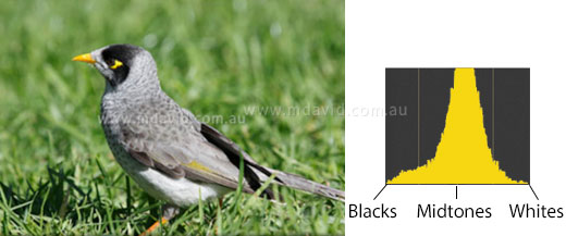 histogram and photo
