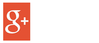 Google+ button
